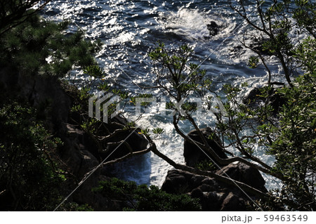 岩と波と緑 59463549