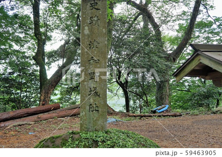 津和野の風景三本松城跡 59463905
