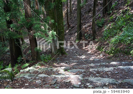 津和野の風景津和野城跡 津和野の風景津和野城跡 59463940