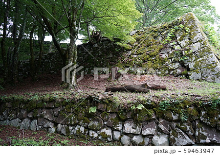 津和野の風景三本松城跡 59463947