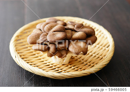 霜降りヒラタケ 59466005