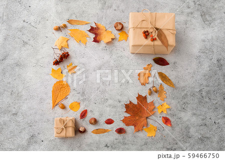 frame of gifts, autumn leaves and rowanberry 59466750