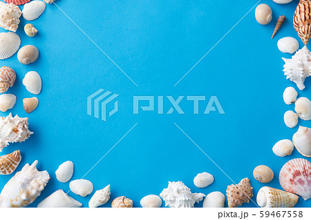 frame of different sea shells on blue background frame of different sea shells on blue background 59467558