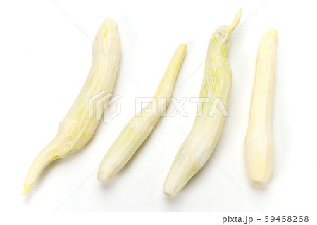 マコモダケ 59468268