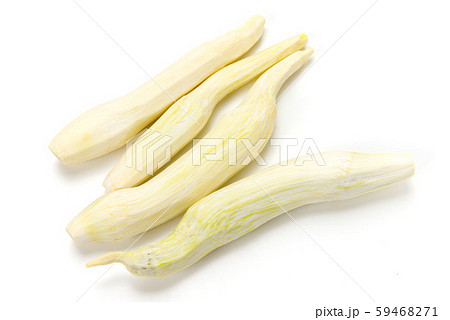 皮剥きしたマコモダケ 皮剥きしたマコモダケ 59468271