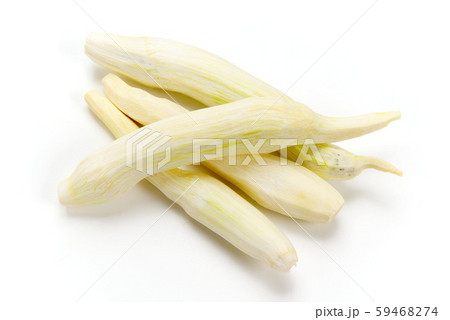 マコモダケ 59468274