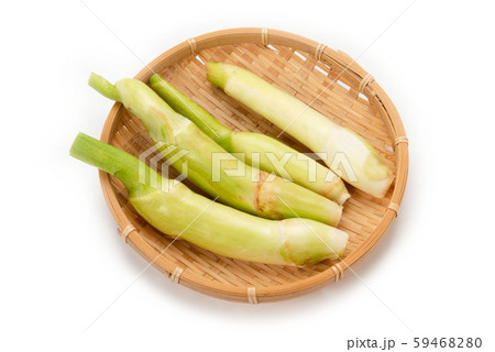 マコモダケ 59468280