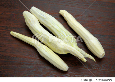 マコモダケ 59468899