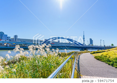 日本の秋 ススキとスカイツリー 日本の秋 ススキとスカイツリー 59471754