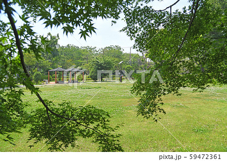 東京都府中市　小金井市　武蔵野公園 59472361