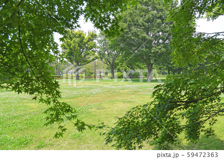 東京都府中市 小金井市 武蔵野公園 東京都府中市 小金井市 武蔵野公園 59472363