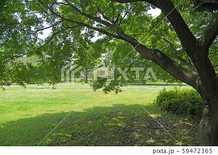東京都府中市 小金井市 武蔵野公園 東京都府中市 小金井市 武蔵野公園 59472365