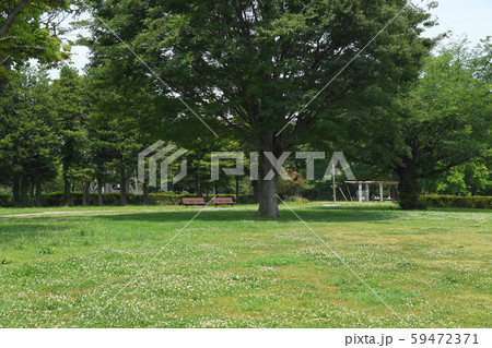 東京都府中市　小金井市　武蔵野公園 59472371