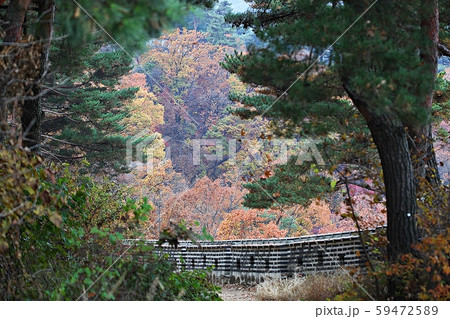 南漢山城 性 城 59472589