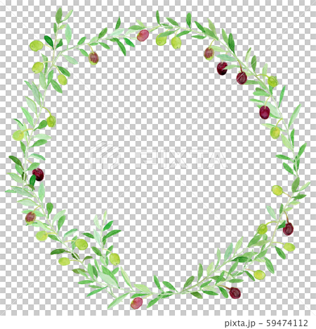 Olive wreath watercolor 59474112