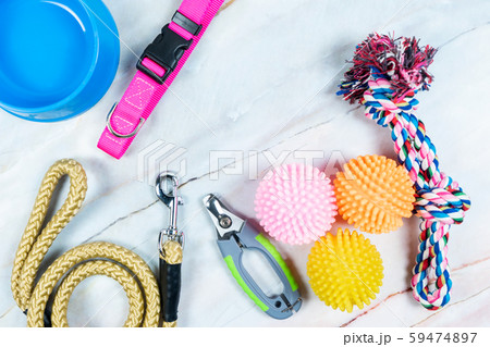 Pet accessories concept.  Toy, Collars, nail 59474897
