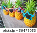 パイナップル 59475053