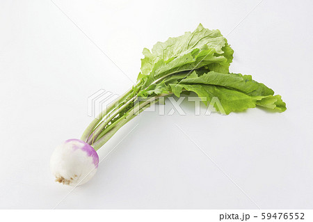 あやめ雪かぶ 59476552