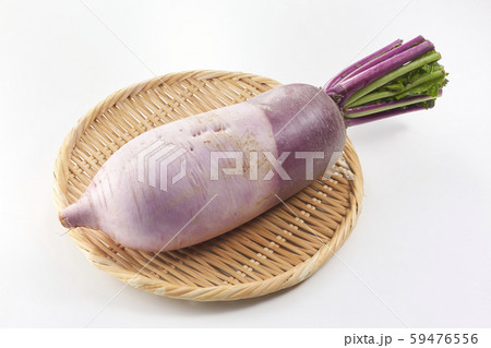 紅しぐれ大根 紅しぐれ大根 59476556