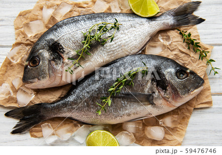 Fresh fish dorado 59476746
