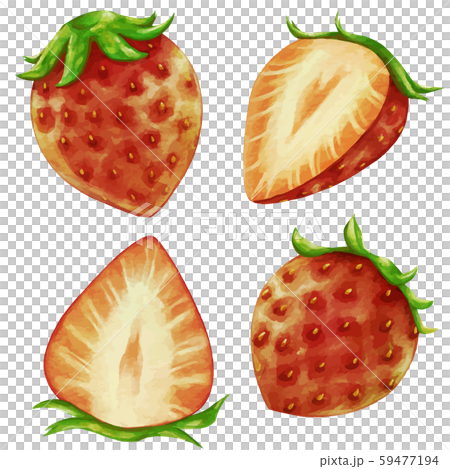 Illustration of red strawberries strawberry 59477194