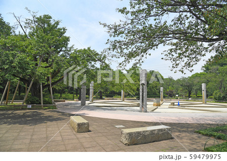 東京都府中市　小金井市　武蔵野公園 59479975