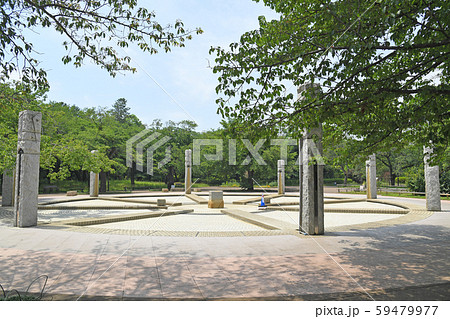 東京都府中市　小金井市　武蔵野公園 59479977