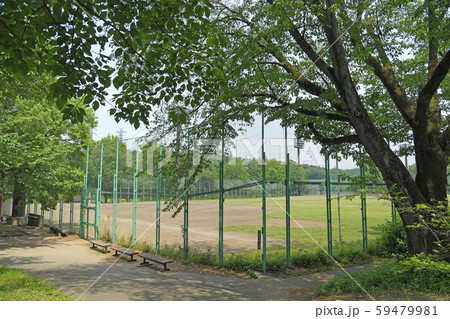 東京都府中市　小金井市　武蔵野公園 59479981