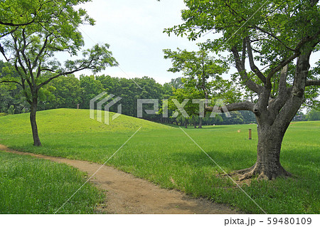 東京都府中市　小金井市　武蔵野公園 59480109
