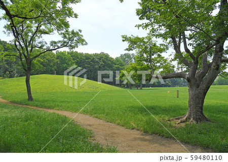 東京都府中市 小金井市 武蔵野公園 東京都府中市 小金井市 武蔵野公園 59480110