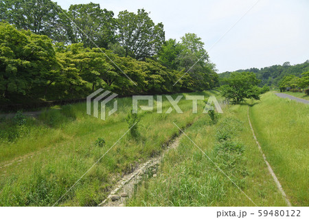 東京都府中市 小金井市 武蔵野公園 東京都府中市 小金井市 武蔵野公園 59480122