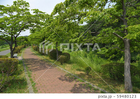 東京都府中市 小金井市 武蔵野公園 東京都府中市 小金井市 武蔵野公園 59480123