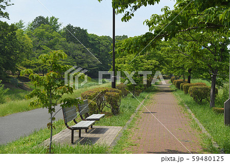 東京都府中市　小金井市　武蔵野公園  59480125