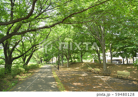 東京都府中市 小金井市 武蔵野公園 東京都府中市 小金井市 武蔵野公園 59480128