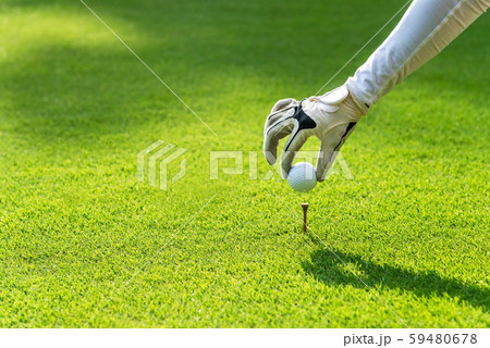 Close up hand asian sporty woman putting golf Close up hand asian sporty woman putting golf 59480678