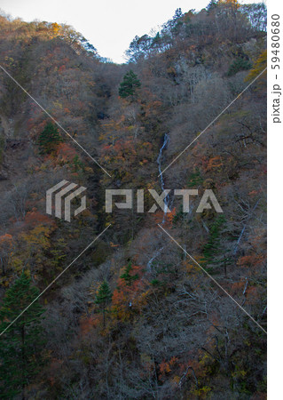 栃木県日光　秋の日光　華厳の滝の横の小さな流れ 59480680