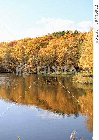 北海道札幌市の西岡水源池の紅葉 秋の公園 北海道札幌市の西岡水源池の紅葉 秋の公園 59480922