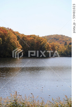北海道札幌市の西岡水源池の紅葉 秋の公園 北海道札幌市の西岡水源池の紅葉 秋の公園 59481023