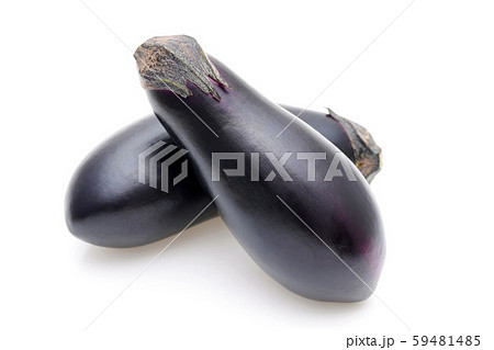 茄子 野菜 茄子 野菜 59481485