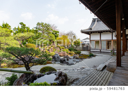 妙満寺 - 桜 59481763