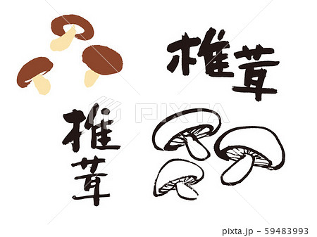 椎茸 筆文字のイラスト素材