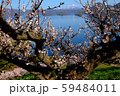 洞爺湖の春（１１） 59484011