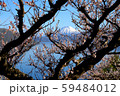 洞爺湖の春（１２） 59484012