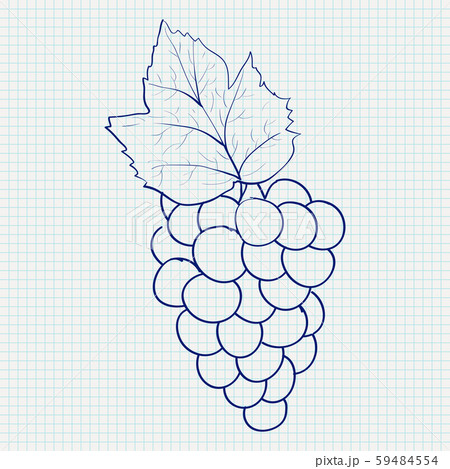 Realistic grapes drawing by ihamza86 on DeviantArt