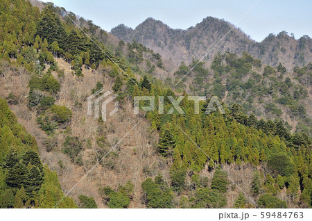 丹沢 三峰山 丹沢 三峰山 59484763