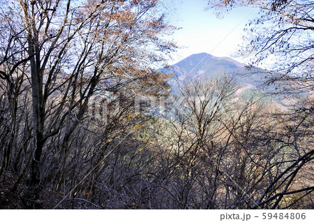 奥武蔵 妻坂峠より望む武甲山 奥武蔵 妻坂峠より望む武甲山 59484806