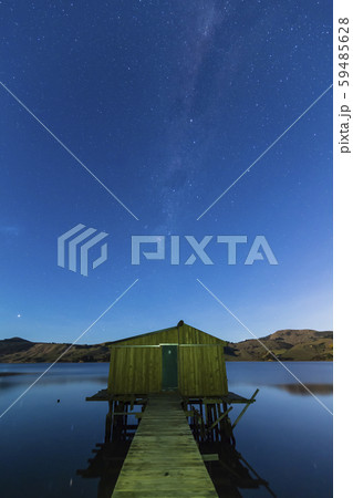 ニュージーランド　ダニーデン 　星空 59485628