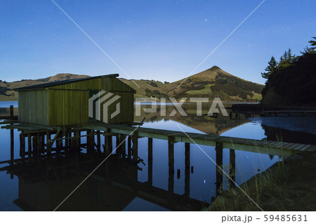 ニュージーランド ダニーデン 星空 ニュージーランド ダニーデン 星空 59485631