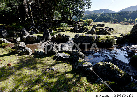 興聖寺 足利庭園 興聖寺 足利庭園 59485639