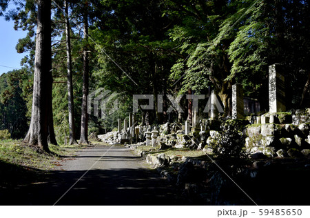 興聖寺 興聖寺 59485650